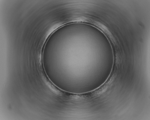 X0000111361234200907171157
