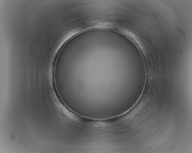 X0000111361235200907171157
