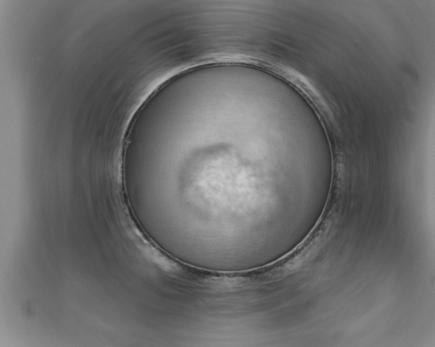 X0000111361236200907171157