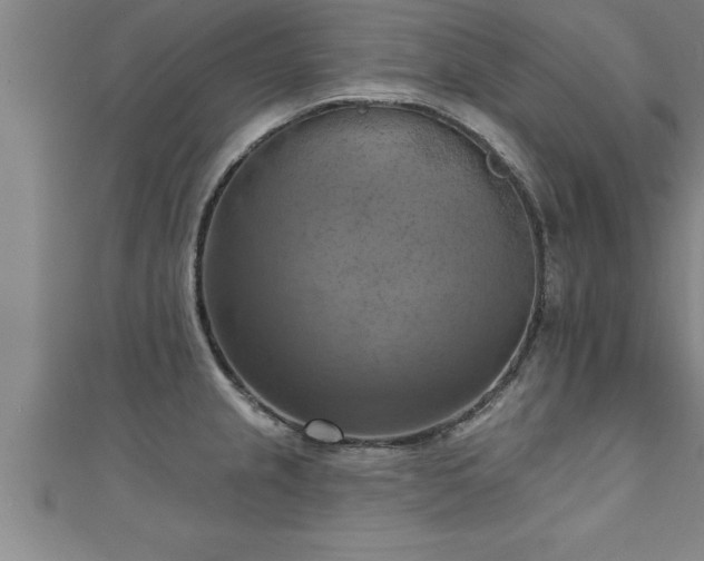 X0000111361237200907171157