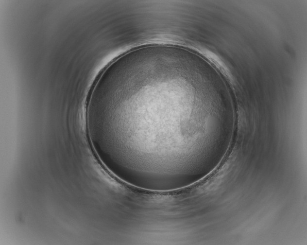 X0000111361238200907171157