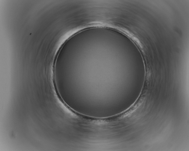 X0000111361239200907171157