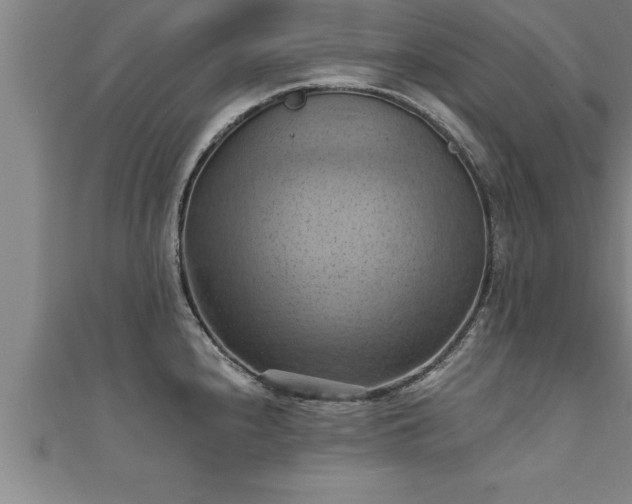 X0000111361240200907171157
