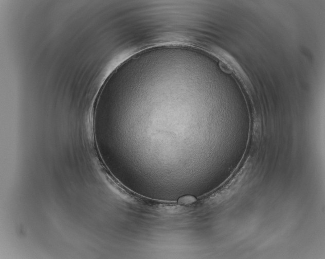 X0000111361242200907171157