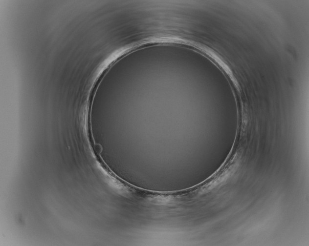 X0000111361245200907171157