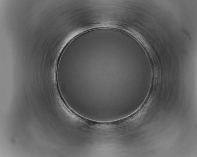 X0000111361246200907171157