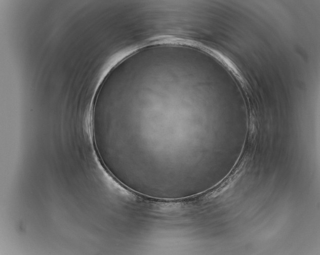 X0000111361247200907171157