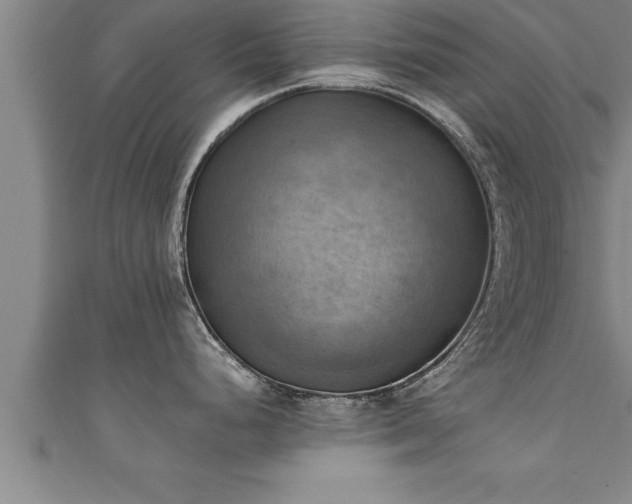 X0000111361248200907171157
