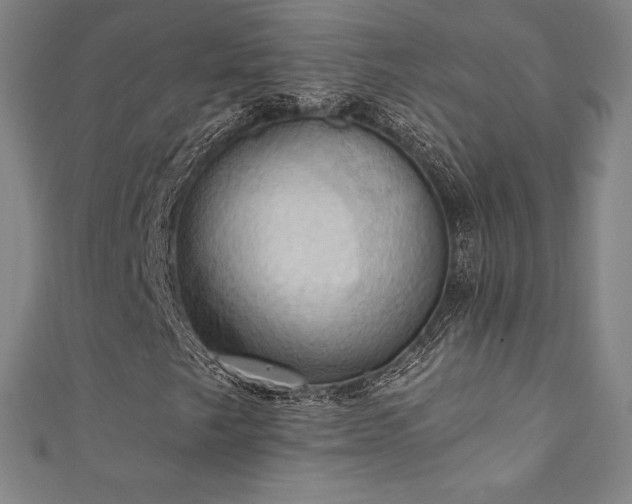 X0000111361249200907171156