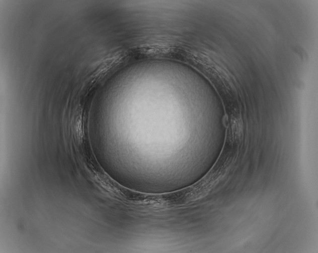 X0000111361250200907171156