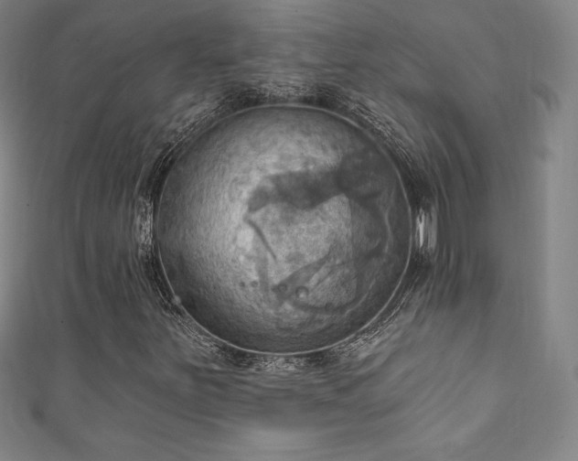 X0000111361251200907171156