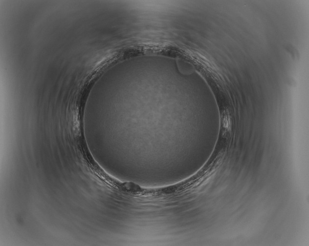 X0000111361252200907171156