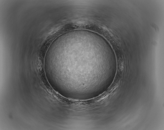 X0000111361253200907171156