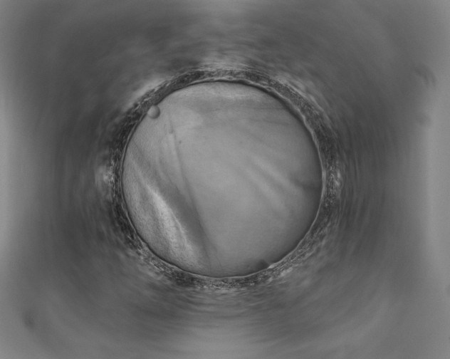 X0000111361254200907171156