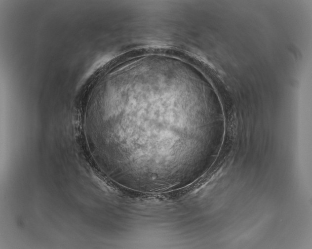 X0000111361255200907171156