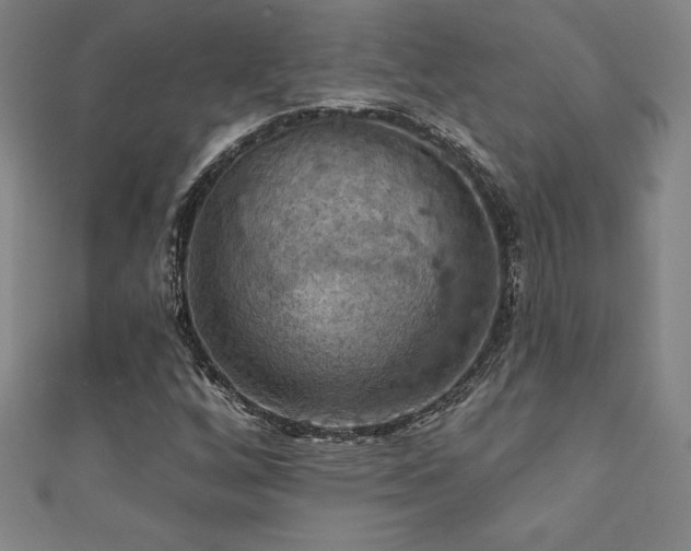 X0000111361256200907171156
