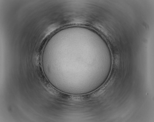 X0000111361258200907171156