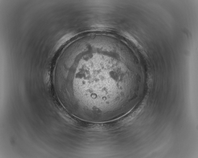 X0000111361259200907171156