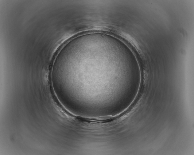 X0000111361260200907171156