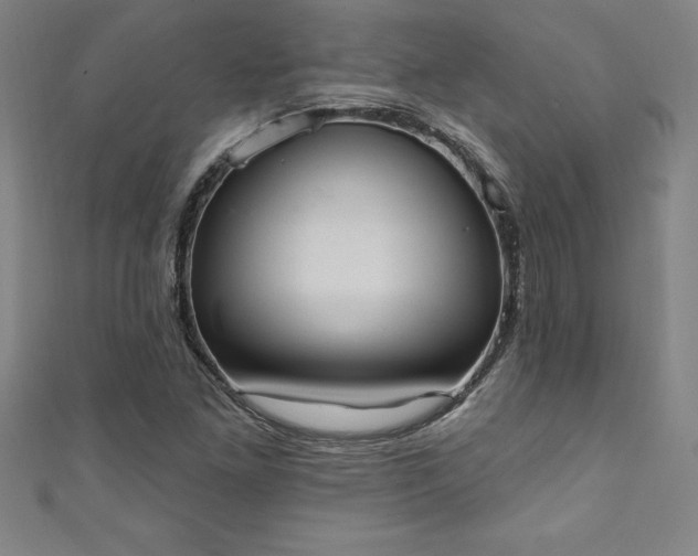 X0000111361261200907171156