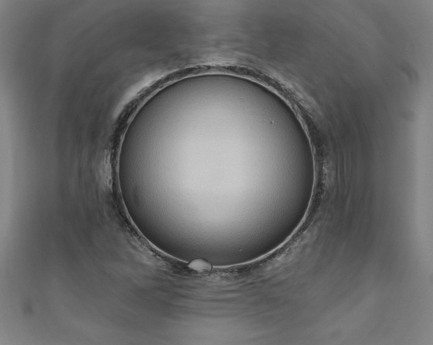 X0000111361262200907171156