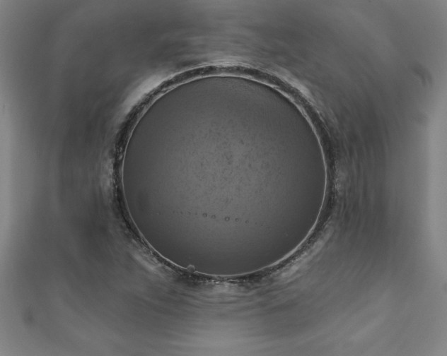 X0000111361263200907171156