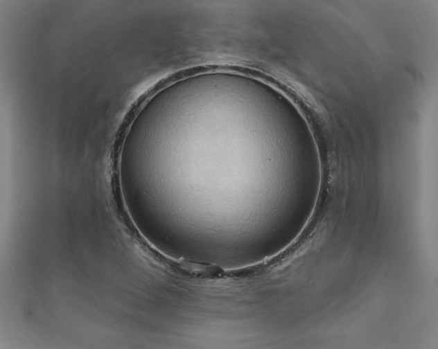X0000111361264200907171156