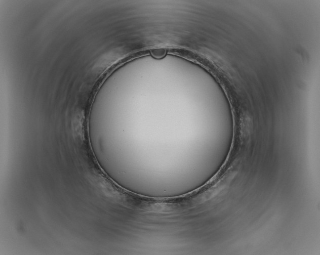 X0000111361265200907171156