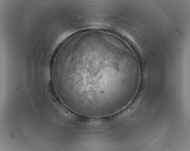 X0000111361267200907171156