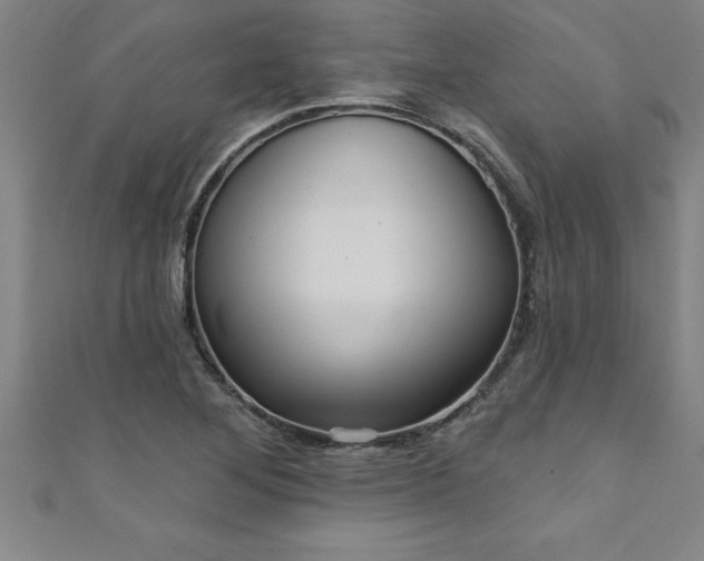 X0000111361268200907171156