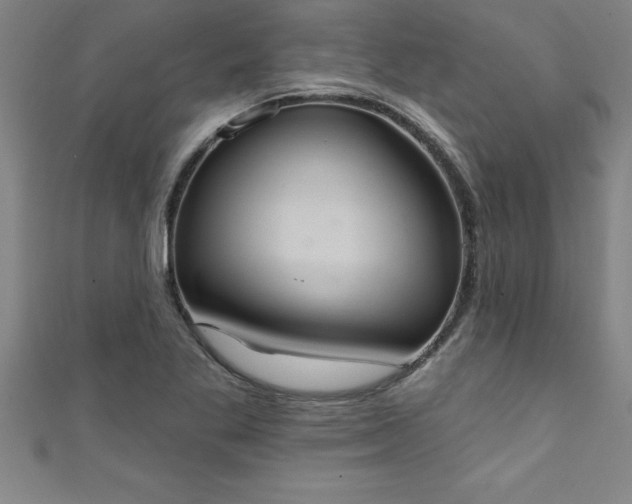 X0000111361269200907171156