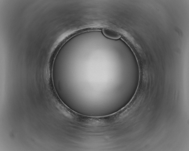 X0000111361270200907171156
