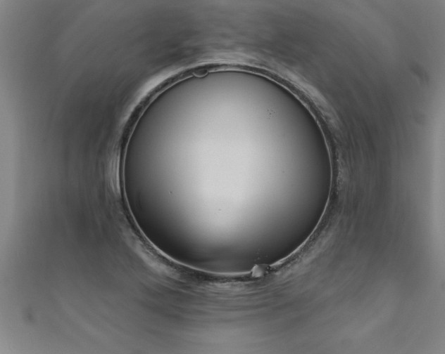 X0000111361272200907171156