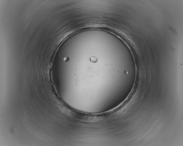 X0000111361273200907171156