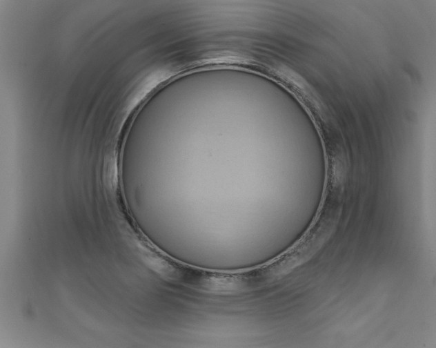 X0000111361274200907171156