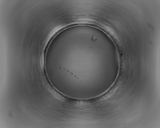 X0000111361275200907171156