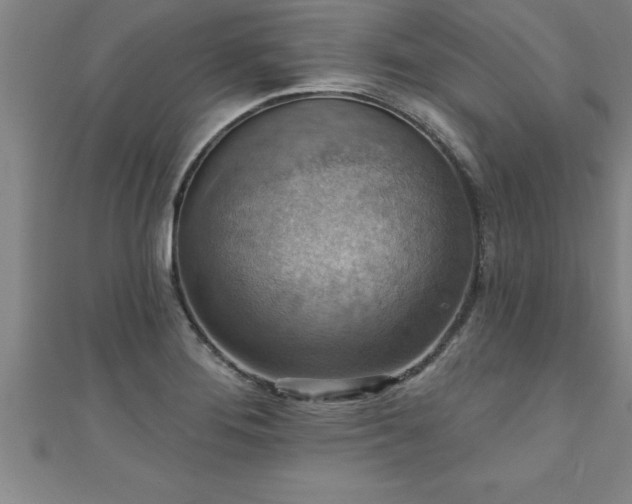 X0000111361276200907171156