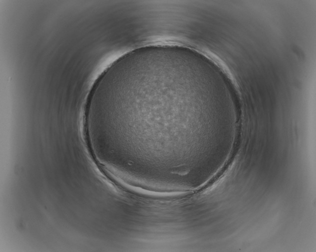 X0000111361277200907171156