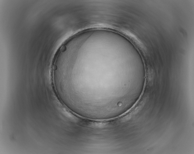 X0000111361278200907171156