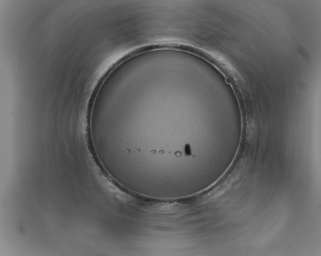 X0000111361279200907171156