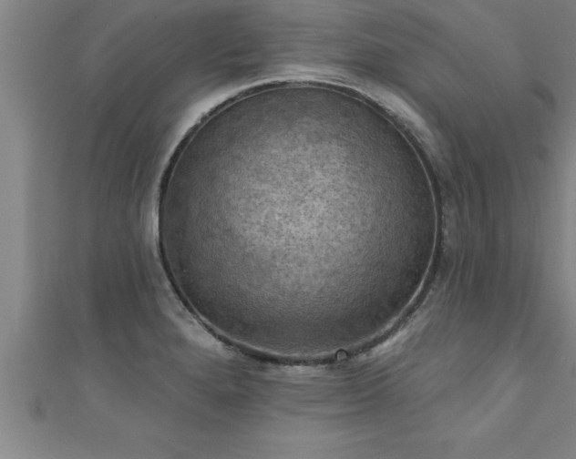 X0000111361280200907171156