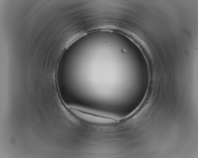 X0000111361281200907171156