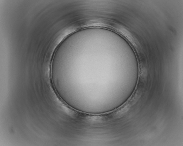 X0000111361282200907171156