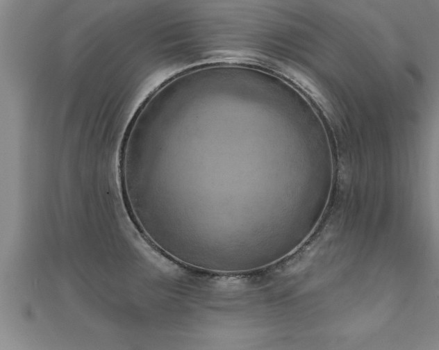 X0000111361283200907171156