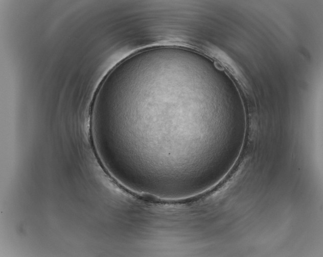 X0000111361284200907171156