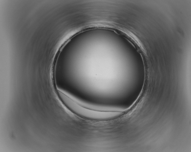 X0000111361285200907171156