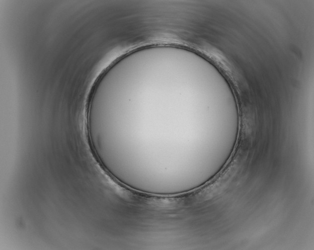 X0000111361286200907171156