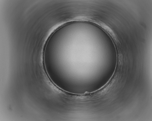X0000111361288200907171156