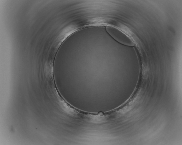 X0000111361289200907171156