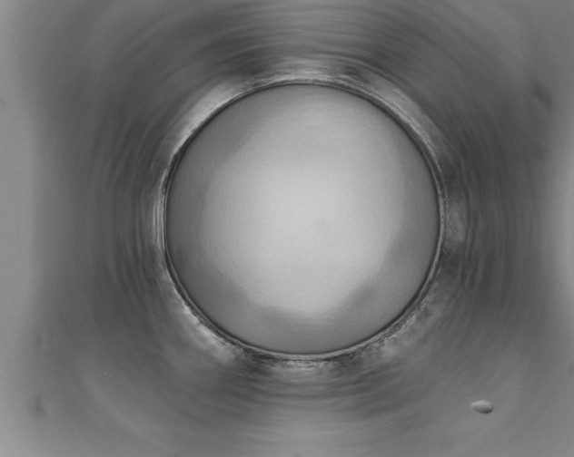 X0000111361290200907171156